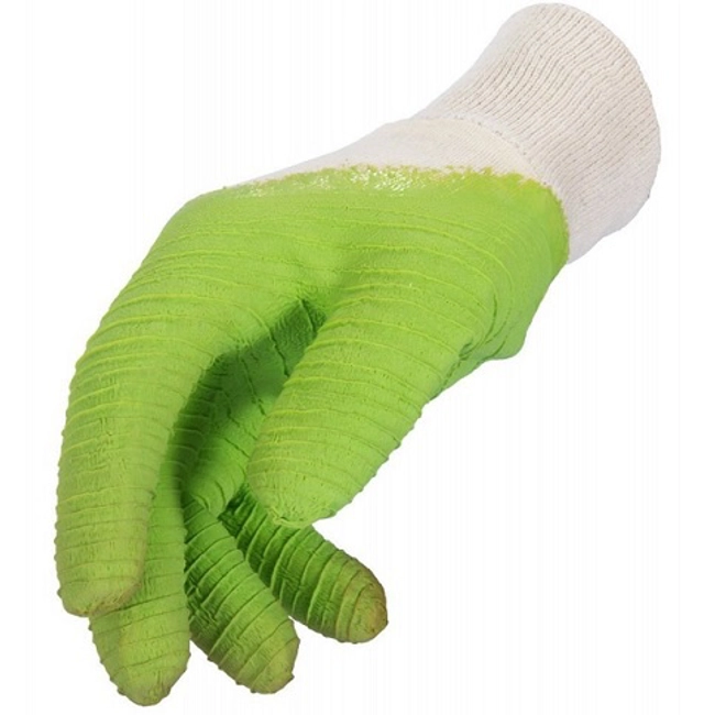 Vendita online Guanti per rose taglia 8/S